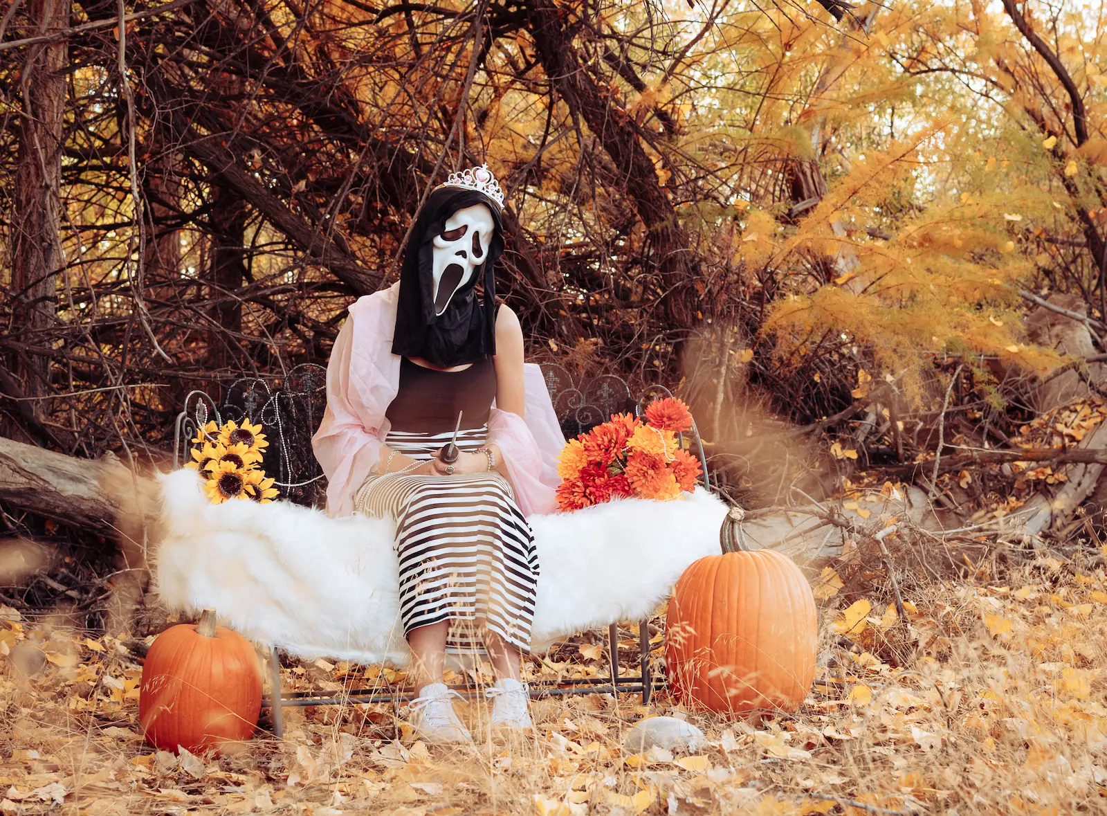 Portrait Photography